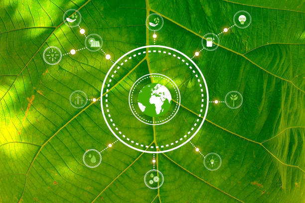Information About ESG IDP